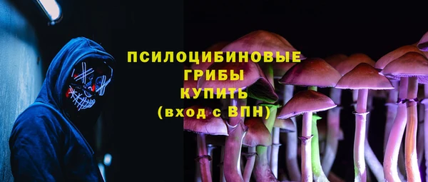 ешки Алексеевка