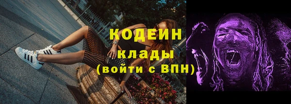 эйфоретик Алзамай