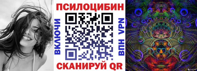 где можно купить наркотик  Славск  Галлюциногенные грибы прущие грибы 